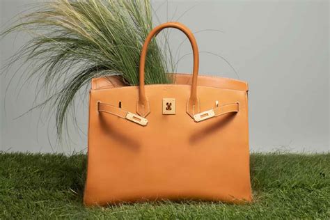 birkin da hermès|the hermes birkin.